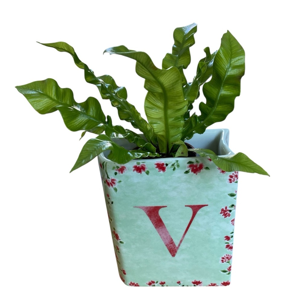Ceramic Book Vase “V” Mint Green with Red Floral Accents